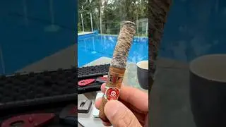 Punch Punch 48 LCDH Cigar | ASMR Cut & Light