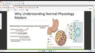 physiology and pharmaco تجريبي