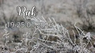 Rak ♋ 19-25/01/26 🌼 Wszystko stanie się jasne! Droga przed Tobą jest otwarta. Ruszaj naprzód! 🌍