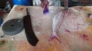 Incredible Giant Red Fish Cutting Skill | Expert Fish Cutter Skills