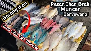 Ikannya Besar” Borong Ikan bakaran buat mlm thn baru Pasar Brak Muncar Banyuwangi 