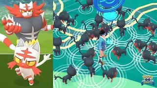 Litten Community Day! Incineroar learns Blast Burn & Darkest Lariat