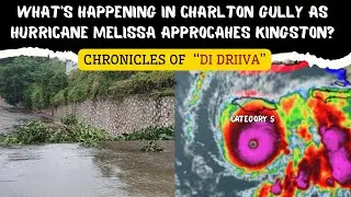 Driving Through Kingston&rsquo;s Risk Zones: Where to Find Shelter