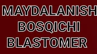Biologiya 2024. 3-qism.#Maydalanish bosqichi#blastomerdan masalalar#autosoma#jinsiy xromosoma#