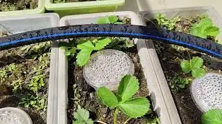 Rubber soaker seepage irrigation hose made from waste tyre recycled material 