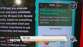 Find your political soul mate with web-based app, Votr