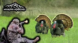 2nd chance turkeys| Texas Turkey Hunting | Verdict Ammunition