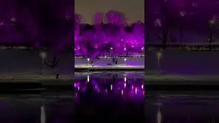 Москва, Воробьёвы горы. декабрь 2022