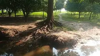 Beautiful field 😲🙏&hearts;️ where there are lots of fish