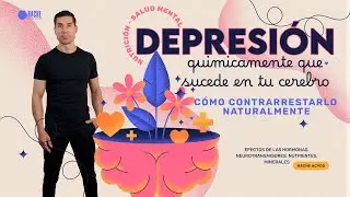 DEPRESI&Oacute;N | Qu&eacute; sucede qu&iacute;micamente en tu cerebro &iquest;Puede contrarrestarse? - Hache Acvdo