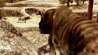 Africa's prehistoric predators