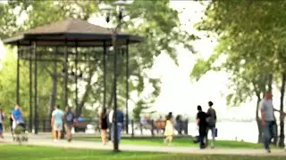 How to Combat Outdoor Allergies