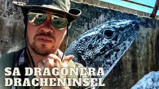 Sa Dragonera Mallorca | Die Dracheninsel überall Echsen | Sant Elm Geheimtipp