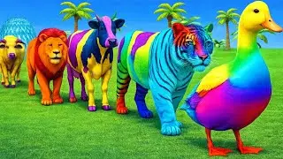 Long Slide Game With Cow Elephant Gorilla Hippopotamus Tiger 3D Animals #funny3danimals   