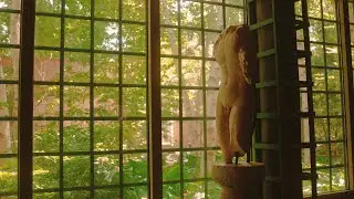 Boston’s Garden Museum