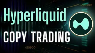 Hyperliquid Copy Trading Tutorial | How to Choose and Use Vaults