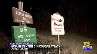 CPW calls off search for third mountain lion after deadly attack in Colorado