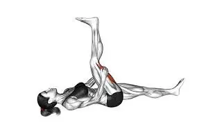 Bodyweight Hamstring Stretch： A Comprehensive Exercise Guide 42851201 Hamstring Stretch female Thigh
