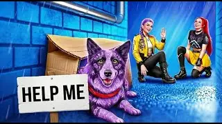 K-Pop Demon Hunters Save Lost Dog! Cute Pet Rescue Story