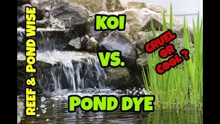 POND DYE BLUE. HOW TO DOSE POND DYE