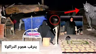 كلب يحمي راعيته من هجوم حيوان الدراكولا المفترس في آخر لحظة عن طريق النباح