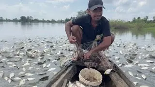 Come and cast your net again, you've caught some very big fish.មកបង់សំណាញ់ទៀតហើយ បានត្រីក្រហែធំៗណាស់