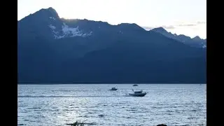 Resurrection Bay Campground Seward Alaska 2020