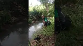 Alhamdulillah.. Mantapnya.. #shortsvideo #mancing #mancingbenteur #fishing #mancingbenter