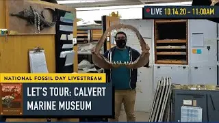 Let's Tour!: Calvert Marine Museum