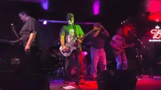 EYEOFTIGER