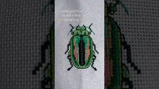 Beetle cross stitch with gold floss #crossstitch #crossstitchpatterns