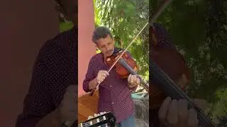 Musica de cuerda 