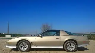 1984 Trans Am HO walkaround