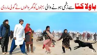 Dog | Ramzi,Noori, Bilo ,Bhootna,Shoki, Sanam, Falak Sher,Funny Video  Rachnavi Tv