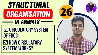 Frog Circulatory System in Tamil | Structural Organisation in Animals Tamil (26)