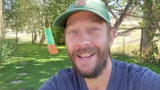 Lawn Update // Tenacity Day + Extras // Buffalograss // Summer Lawn Danger // Manual Labor