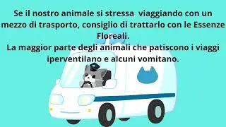 VIAGGIARE CON IL CANE E IL GATTO E LE ESSENZE FLOREALI