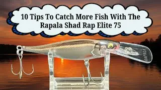 Ten Tips To Catch More Fish With The Rapala Shad Rap Elite 75