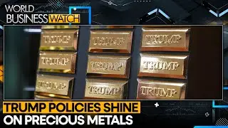 Goldman Sachs Sees Gold Rallying to $5,000 | WION Business Watch