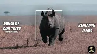 Dance of Our Tribe - Instrumental by Benjamin James | KM
