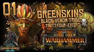 TINNIT FOUR-EYE'S GOBBO WAAAGH!!! | Total War WARHAMMER II - Mortal Empires (Greenskins) #1