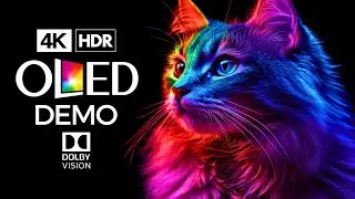 Cats OLED Demo HDR 4K Ultra HD Dolby Vision&trade; 60fps