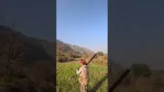#partridge #hunting #pakistan