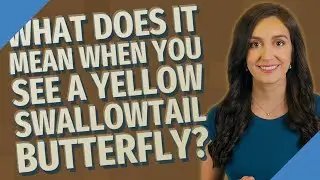 What does it mean when you see a yellow swallowtail butterfly?