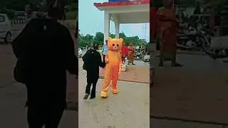 new teddy pranks #teddyprank  #teddybear #viralteddyvideo #teddy #viral
