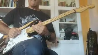 Fender Stratocaster 1991 with Custom Shop Abigail Ybarra pickups (limited series, 300 made).