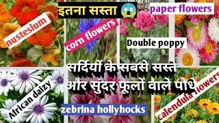Rare Winter Flowering plants seeds/ grow in Sept and Oct month