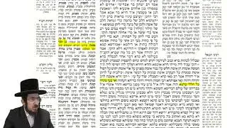 עמוד יומי מסכת שבת דף עז עמוד ב באידיש