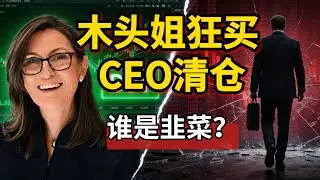 2026年AI下半场：木头姐疯狂加仓，CEO却在清仓？深度拆解 RXRX #RXRX #AI制药 #美股投资 | 顶吉聊财经