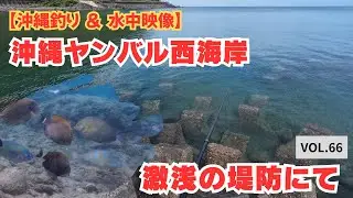 【沖縄釣り】ヤンバルの西海岸のとある堤防！【水中映像】
